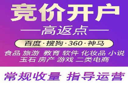 SEM推广策略：实战案例解析